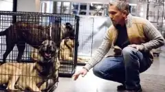 Кости 4 сезон 4 серия