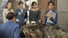 Кости 6 сезон 6 серия