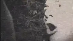 Кости 2 сезон 10 серия